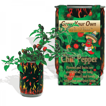 Chili Pepper Growing kit | Chili Growing Kit