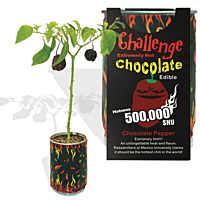 Chocolate Habanero Pepper Growing Kit