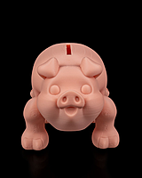 Chonky Piggy Bank
