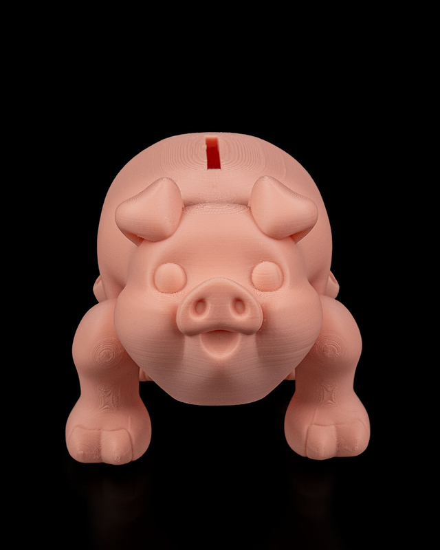 Chonky Piggy Bank