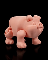 Chonky Piggy Bank