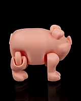 Chonky Piggy Bank