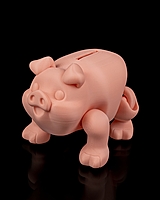 Chonky Piggy Bank