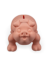 Chonky Piggy Bank