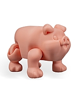 Chonky Piggy Bank