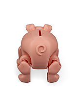Chonky Piggy Bank