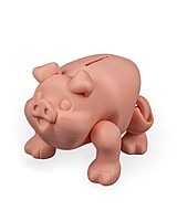 Chonky Piggy Bank