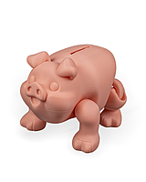 Chonky Piggy Bank