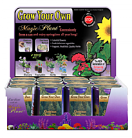 Christmas Tree (Fir) Growing Kit - Water, Watch it Grow!