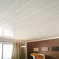 Lámina cielo PVC blanca