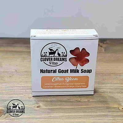 Citrus Bloom Goat Milk Soap Citrus Bloom Goat Milk Soap