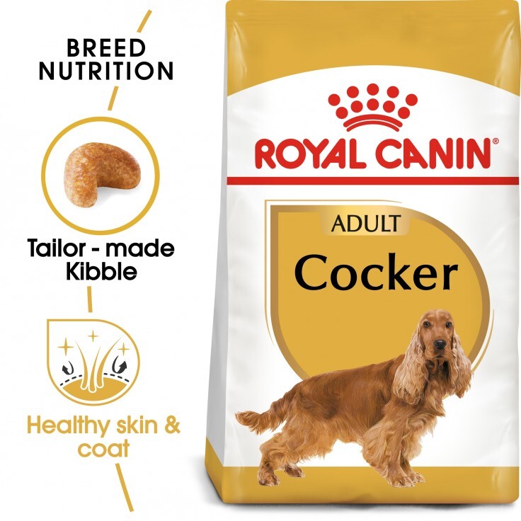 Royal Canin Breed Health Nutrition Cocker Adult 3KG Royal Canin Breed Health Nutrition Cocker Adult 3KG