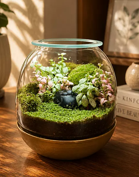 Lush Dome Terrarium – Mini Tropical Garden