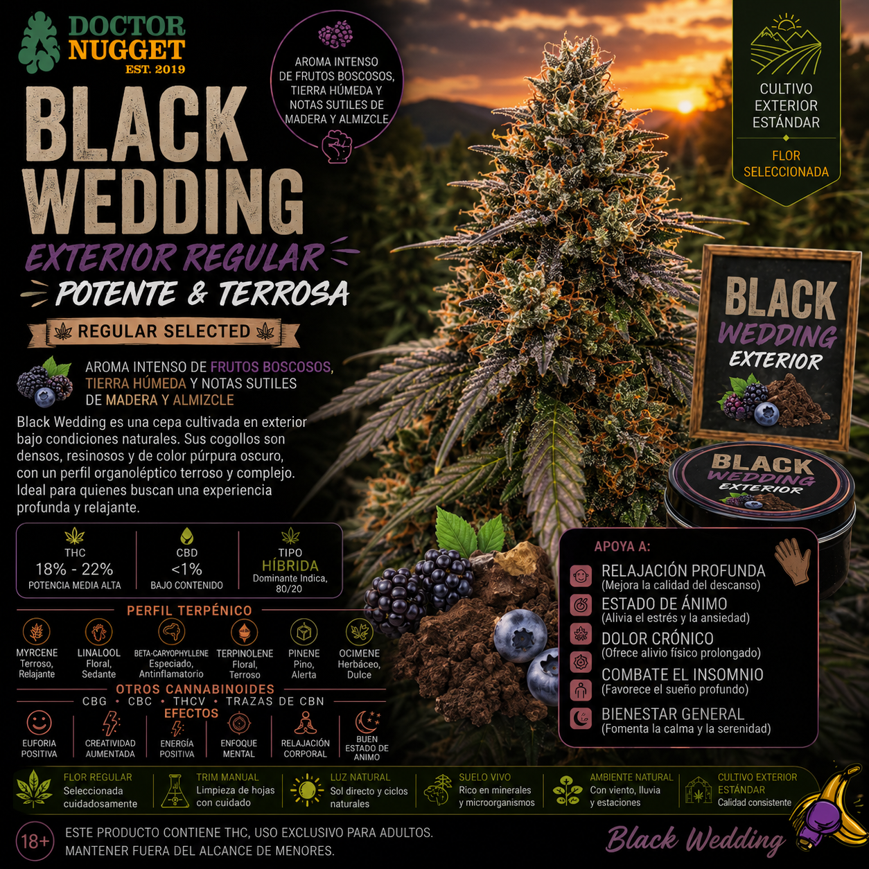 Black Wedding Exterior Regular