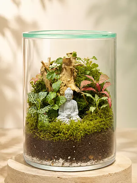 Zen Buddha Garden