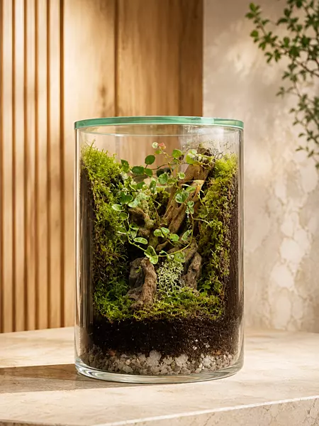 Woodland Escape Moss Terrarium