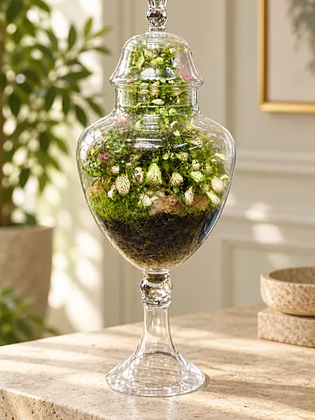 Ornate Glass Terrarium