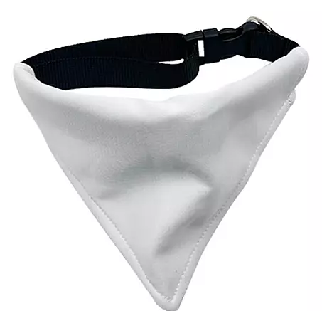 Dog Collar with Bandana