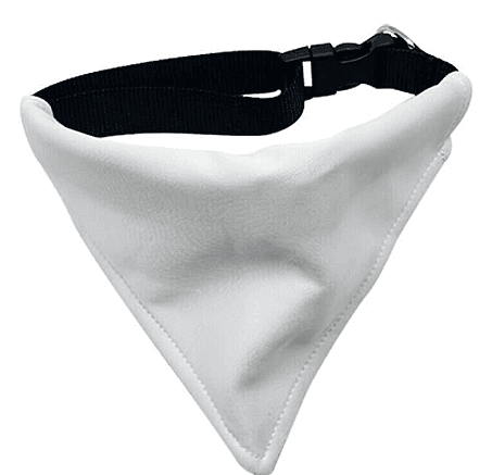 Dog Collar with Bandana