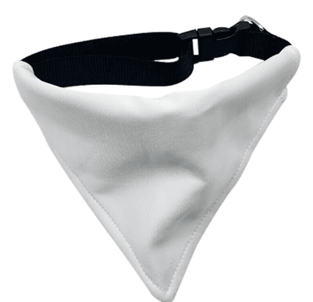 Dog Collar with Bandana