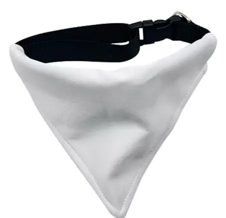 Dog Collar with Bandana