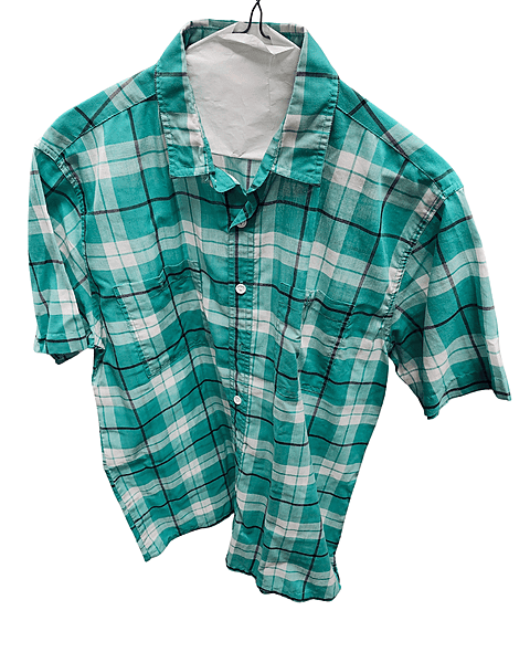 Teal Plaid Shirt