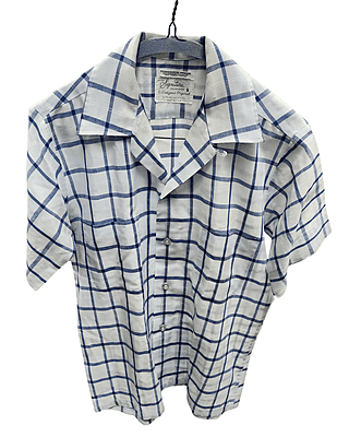 White and Blue Checkered Shirt