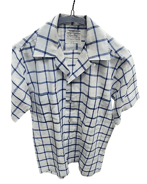 White and Blue Checkered Shirt