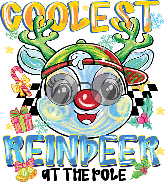 Coolest Reindeer at the Pole - Boy