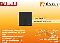 Zigbee 2 Gang Key Switch-EU - Black Zigbee 2 Gang Key Switch-EU - Black