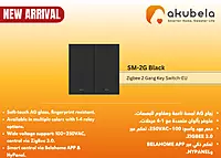 Zigbee 2 Gang Key Switch-EU - Black