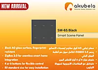 SM-6S Black