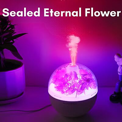 Eternal Flower Humidifier & Colourful Night Lamp