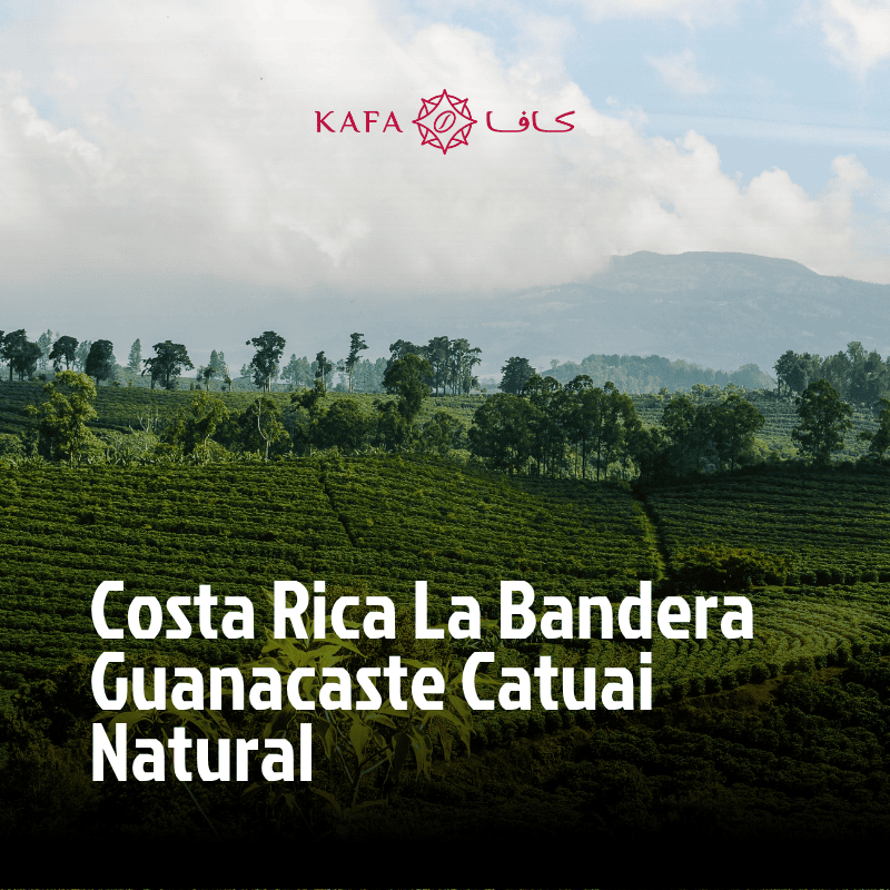 Costa Rica La Bandera Guanacaste Catuai Natural (69KG)-E250404