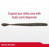 Berkley Gulp! Crawler Berkley Gulp! Crawler