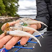 Rapala Crush City Freeloader