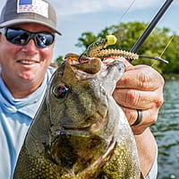 Rapala Crush City Ned BLT Rapala Crush City Ned BLT