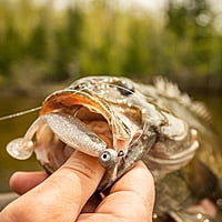 Rapala Crush City The Mayor Rapala Crush City The Mayor