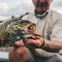 Crush City The Jerk Crush City The Jerk