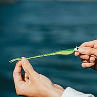 Crush City The Jerk Crush City The Jerk