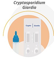 Prueba CerTest para detección de Crypto + Giardia en Cassette - caja con 20 pruebas
