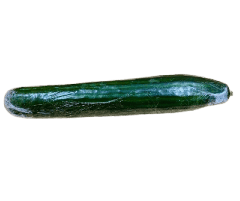 Cucumber