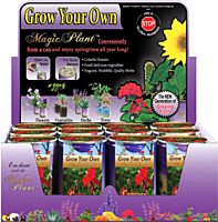 Cypress Vine Flower Growing Kit