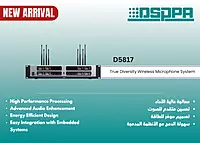 D5817
