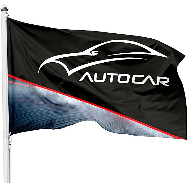 Champion Corporate Pole Flag 900mm x 600 mm