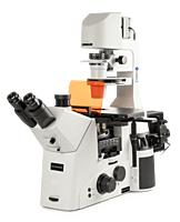 Delphi-X Inverso fluorescence