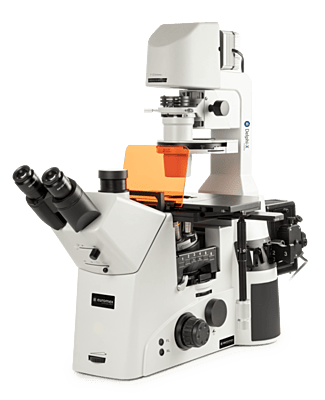 Delphi-X Inverso fluorescence