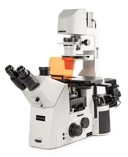 Delphi-X Inverso fluorescence