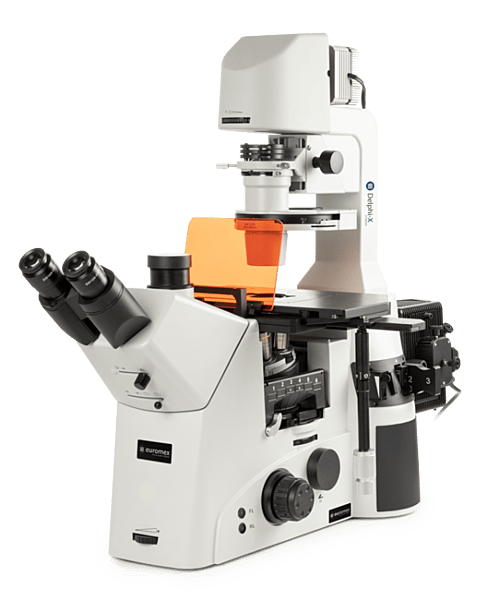 Delphi-X Inverso fluorescence Delphi-X Inverso fluorescence