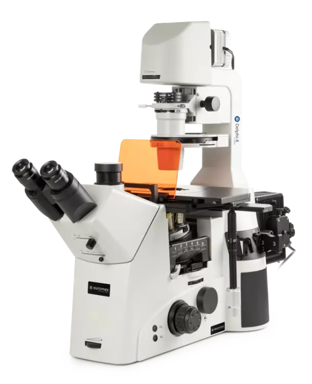 Delphi-X Inverso fluorescence